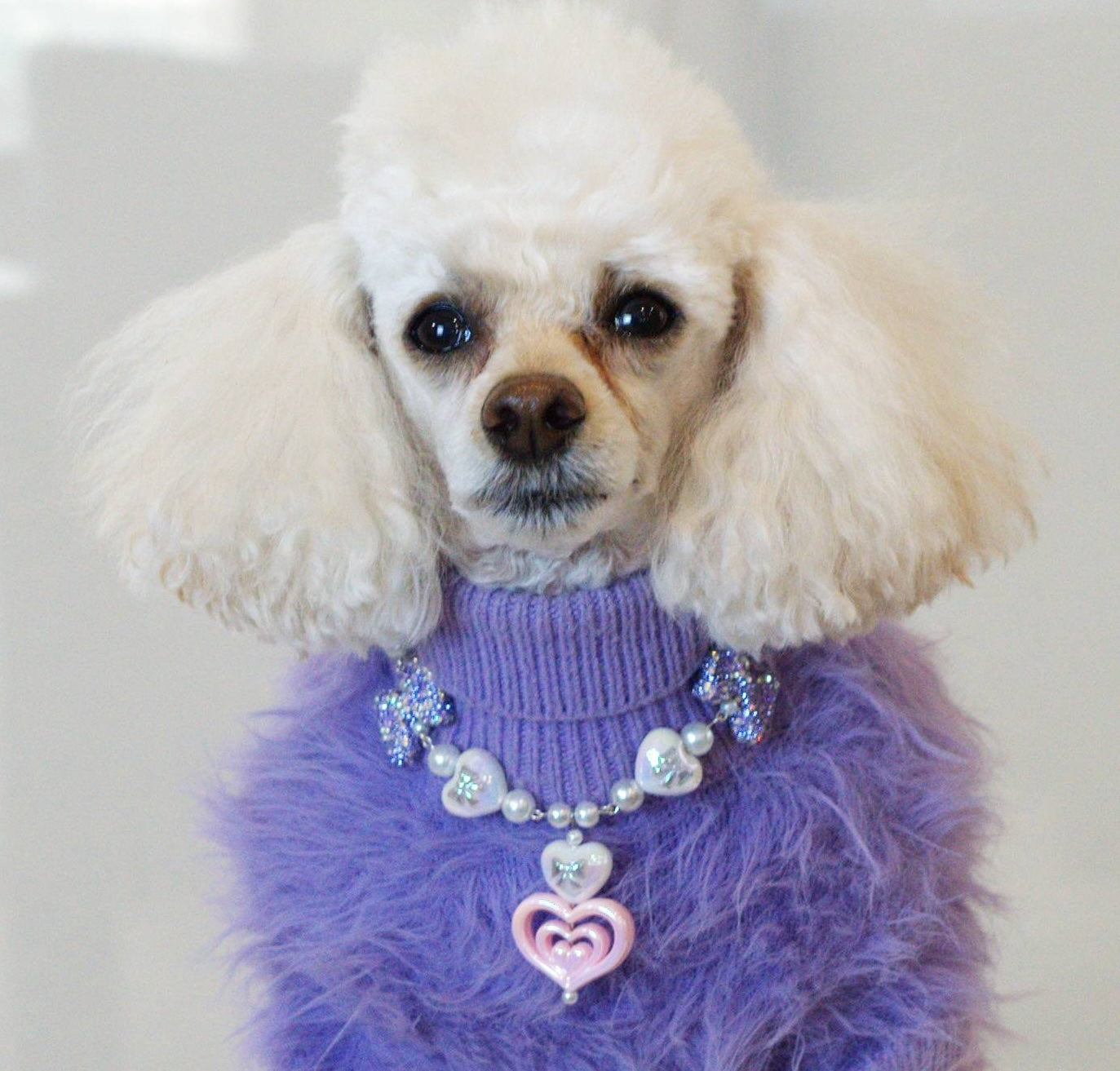 Posh Paw Society Pet Jewelry