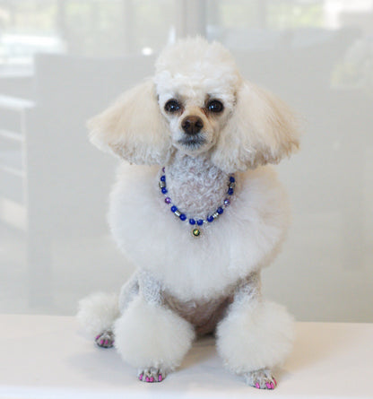 Cobalt Flare Pet Necklace