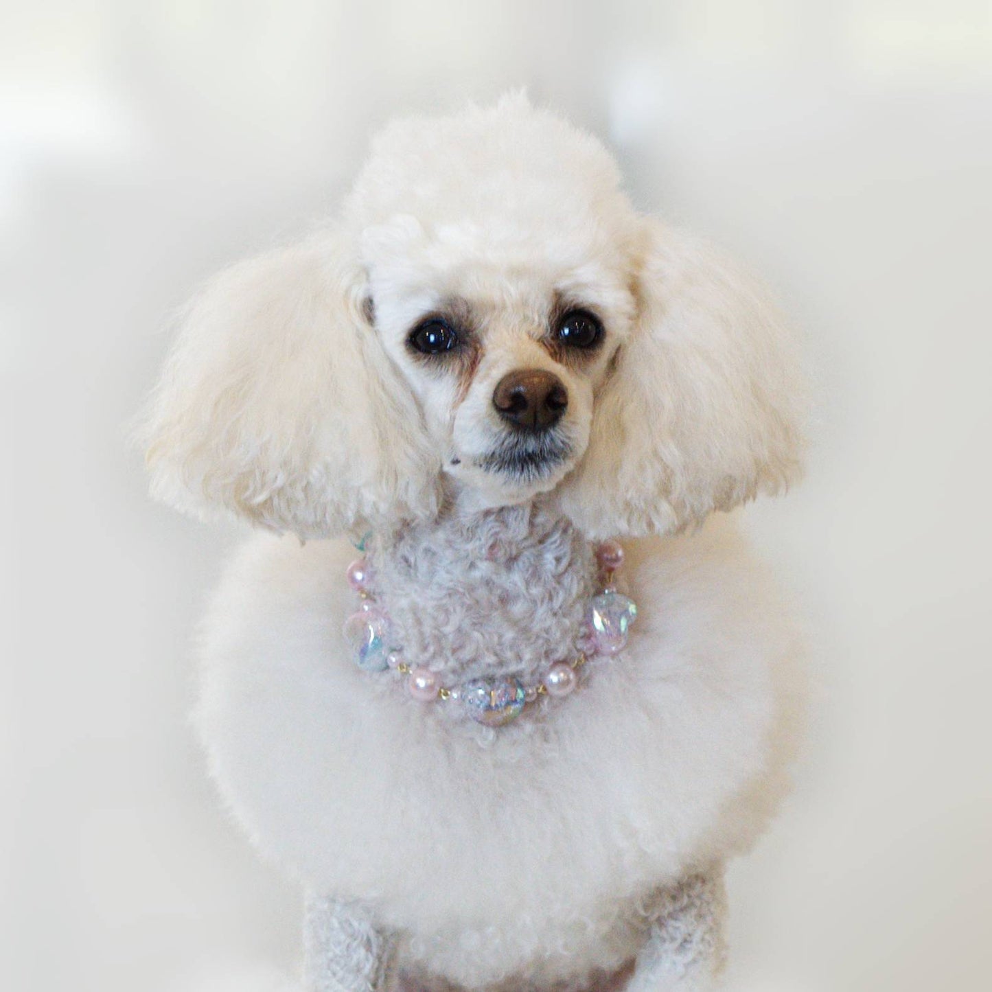 Prism Hearts Pet Necklace