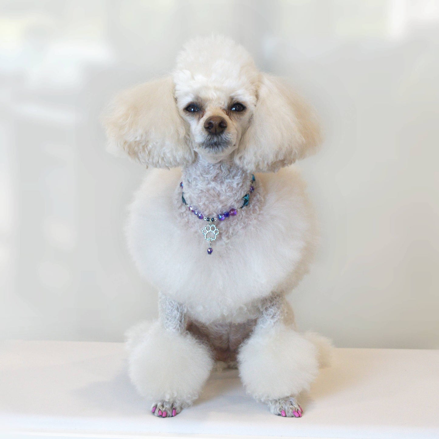 Orion's Paw Pet Necklace