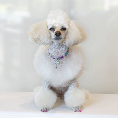 Orion's Paw Pet Necklace