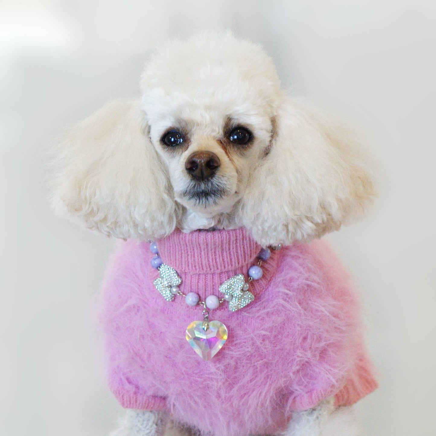 Lavender Spark Pet Necklace