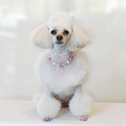 Countess Charm Pet Necklace