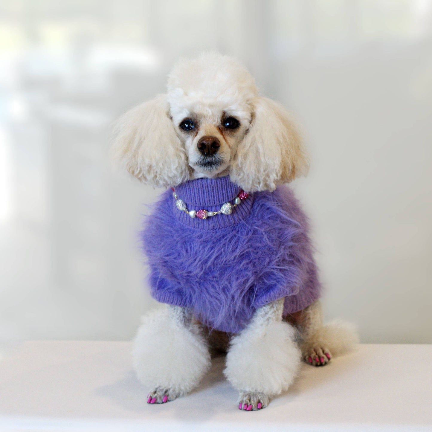 Countess Charm Pet Necklace