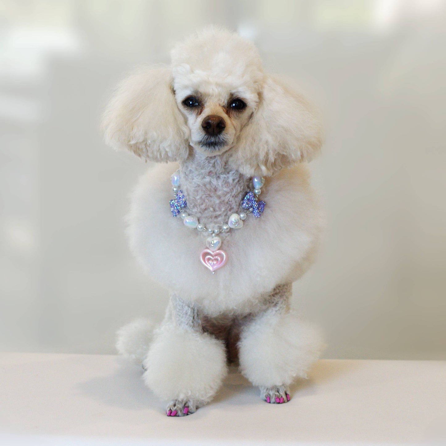 Cascade Heart Pet Necklace