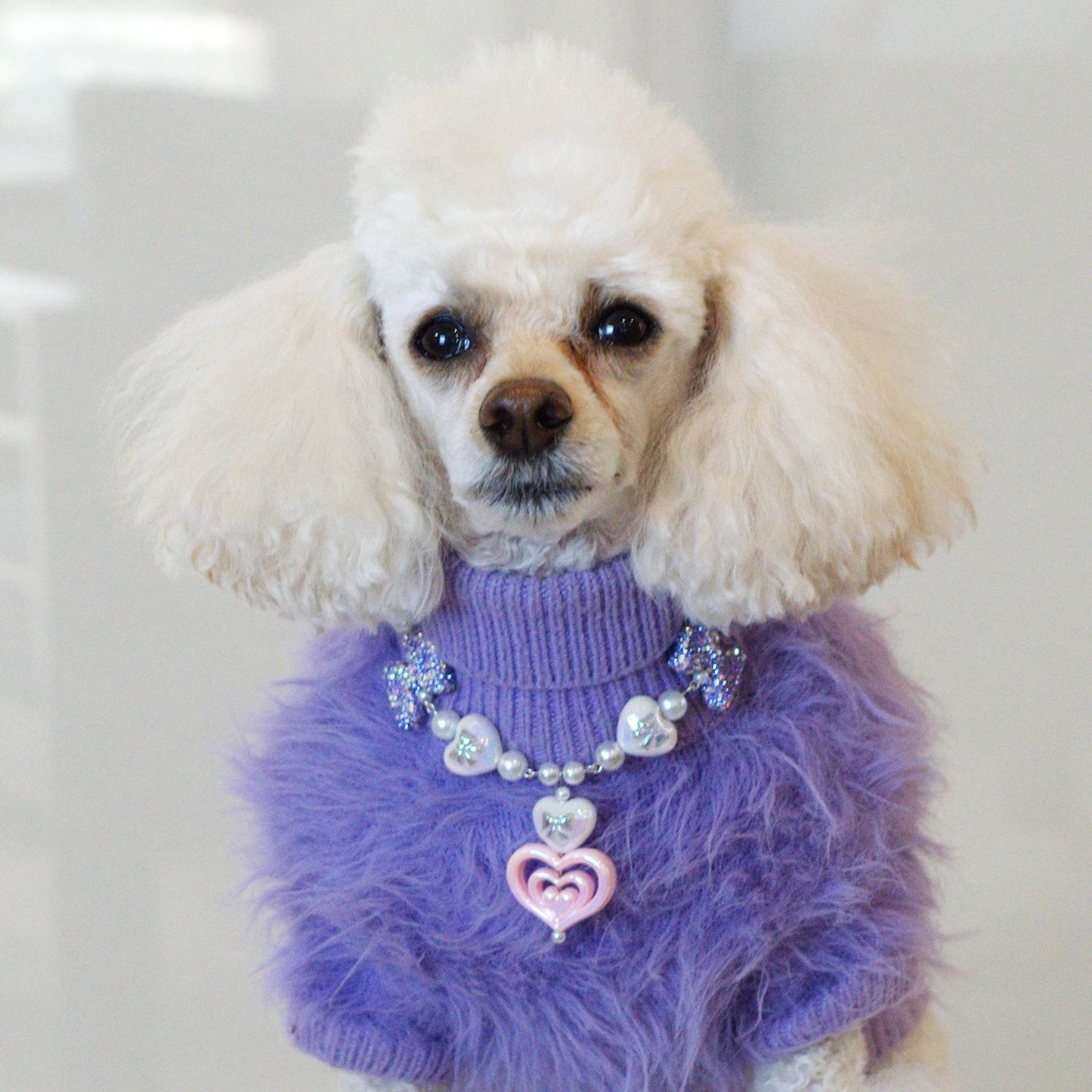 Cascade Heart Pet Necklace