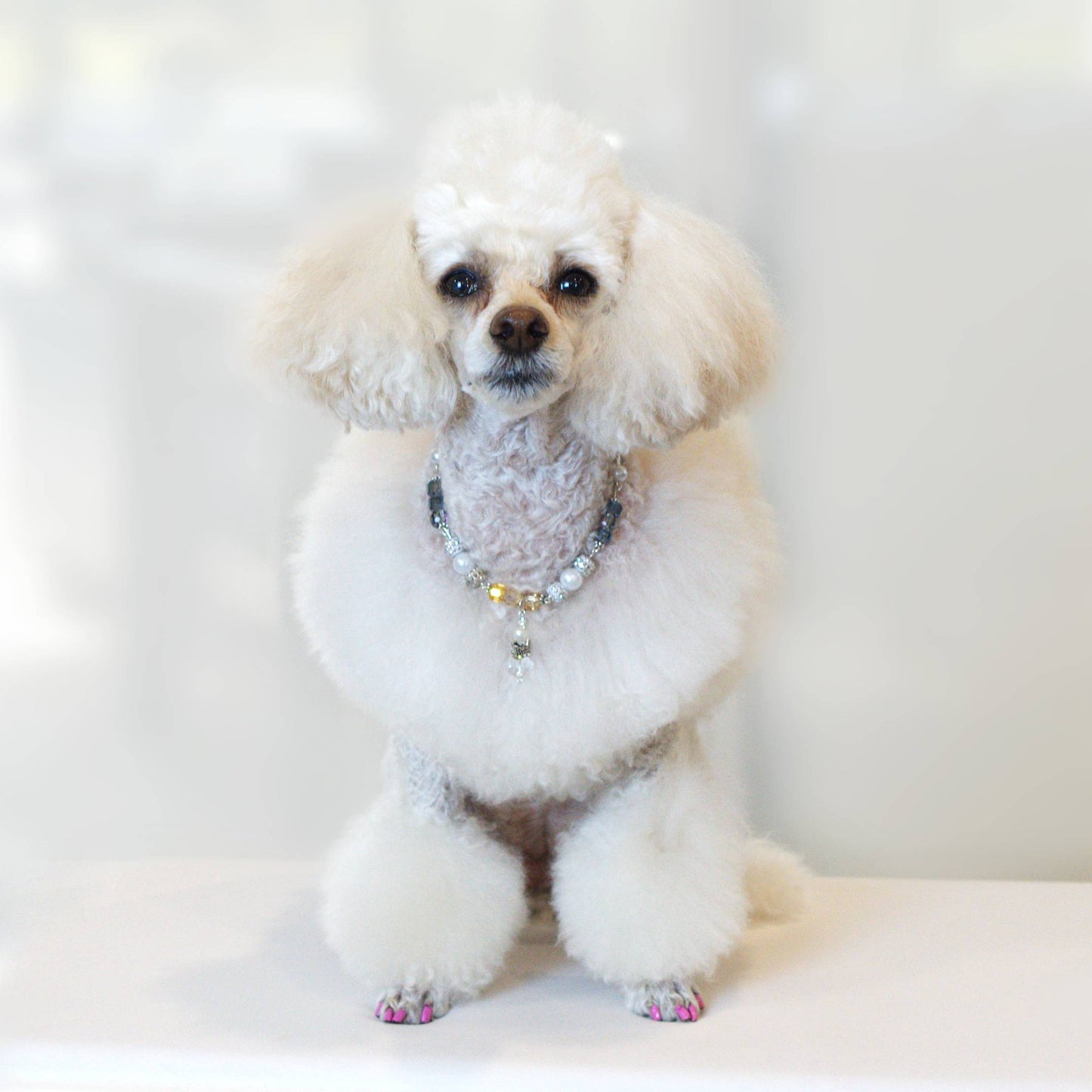 Noble Grace Pet Necklace