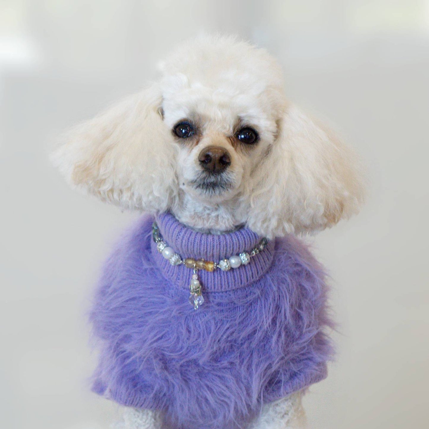 Noble Grace Pet Necklace