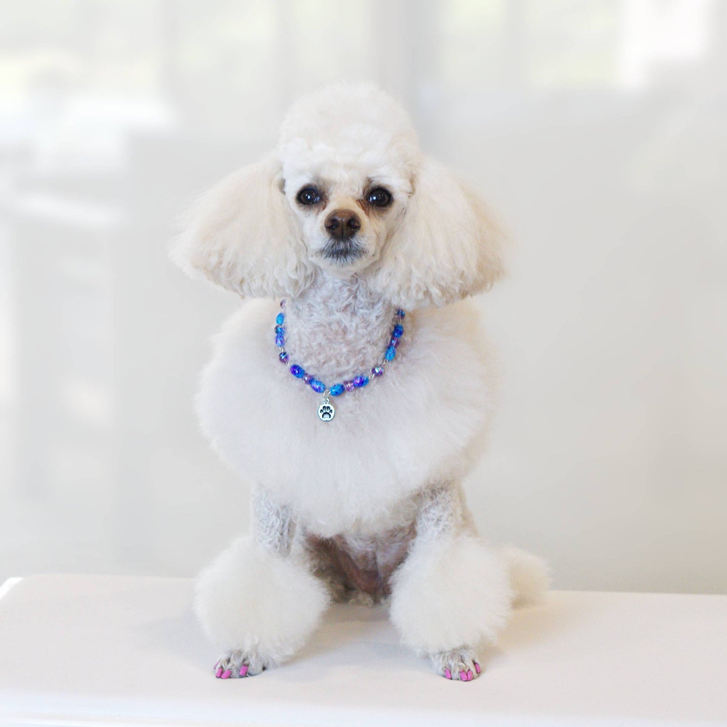 Paw Harmony Pet Necklace