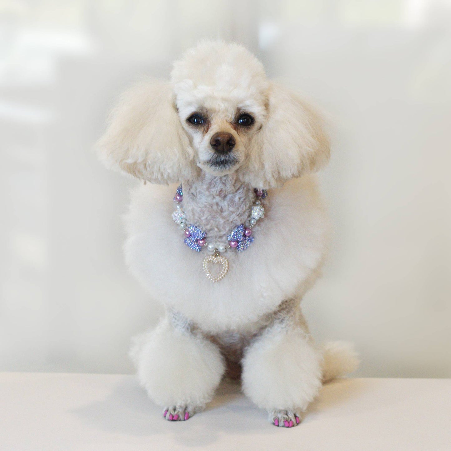 Radiant Glamour Pet Necklace