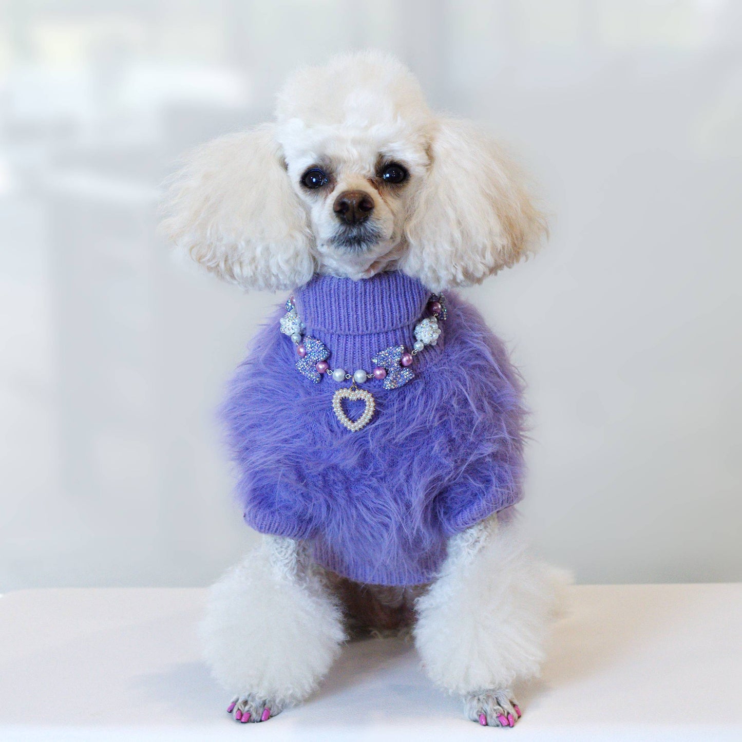 Radiant Glamour Pet Necklace